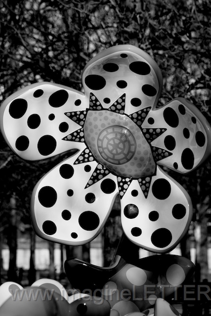 Wall_Art_Alphabet_Photography_Art_ 1752.jpg